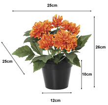 Kunstdahlia in zwarte pot: hoogte 26 centimeter, breedte 25 centimeter, pothoogte 10 centimeter, bodemdiameter 12 centimeter.