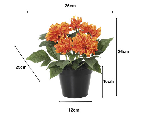 Kunstdahlia in zwarte pot: hoogte 26 centimeter, breedte 25 centimeter, pothoogte 10 centimeter, bodemdiameter 12 centimeter.