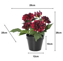 Rode kunstmatige dahlia in pot, hoogte 26 centimeter, breedte 25 centimeter, diepte 25 centimeter, pot 10 centimeter, bodemdiameter 12 centimeter.