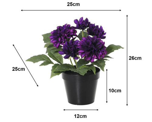 Kunstmatige dahlia in zwarte pot, paarse bloemen. Afmetingen: hoogte 26 centimeter, breedte 25 centimeter, diepte 25 centimeter.