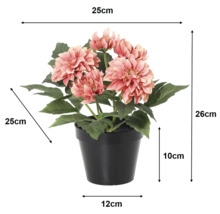 Kunstmatige dahlia in pot: hoogte 26 centimeter, breedte en diepte 25 centimeter, pothoogte 10 centimeter, potbreedte 12 centimeter.