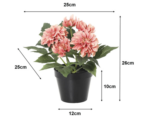 Kunstmatige dahlia in pot: hoogte 26 centimeter, breedte en diepte 25 centimeter, pothoogte 10 centimeter, potbreedte 12 centimeter.