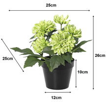 Kunstdahlia in pot: hoogte 26 centimeter, breedte 25 centimeter, diepte 25 centimeter, pothoogte 10 centimeter, diameter 12 centimeter.