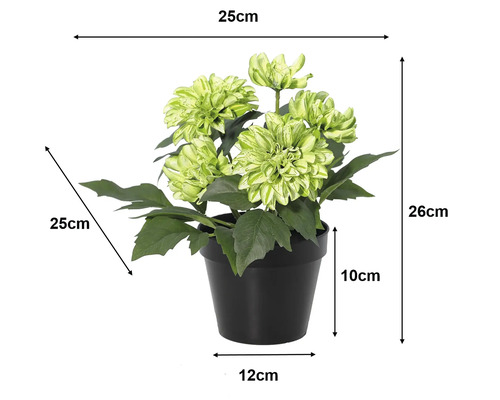 Kunstdahlia in pot: hoogte 26 centimeter, breedte 25 centimeter, diepte 25 centimeter, pothoogte 10 centimeter, diameter 12 centimeter.