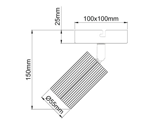Maattekening van een plafondspot met afmetingen van 100 bij 100 millimeter voor de basis en 55 millimeter diameter voor de lampkop.