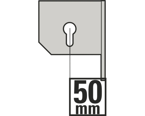 Technische tekening van een cilinder met een aanduiding van 50 millimeter