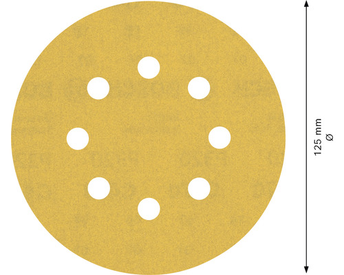 Schuurschijf, diameter 125 mm met perforatie