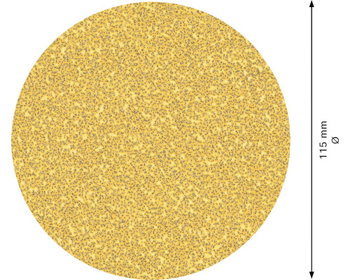 Schuurschijf met een diameter van 115 mm