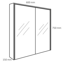 Tekening van een spiegelkast met de afmetingen 600 mm breed, 750 mm hoog en 150 mm diep.