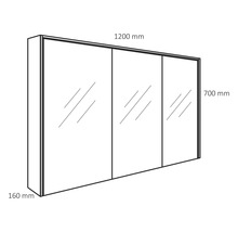 DIFFERNZ Spiegelkast Providence 70x120x16 cm wit