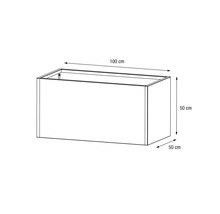 Afbeelding van een plantenbak met de afmetingen 100 cm lengte, 50 cm breedte en 50 cm hoogte.