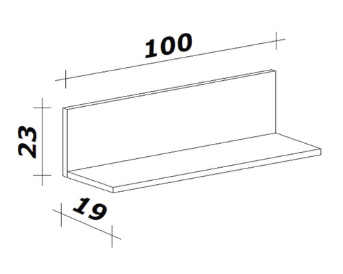 Technische tekening van een wandplank met de afmetingen 100 x 23 x 19