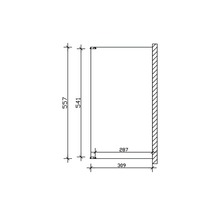 Technische tekening van een kast met de afmetingen 557 x 541 x 287 x 309 mm.