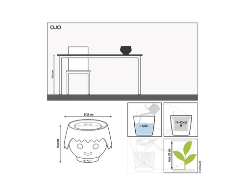 Diagram van de Ojo plantenbakafmetingen en watergiftinstructies.