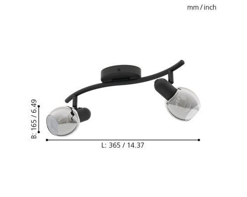 Zwarte plafondlamp met twee rookglazen lampenkappen