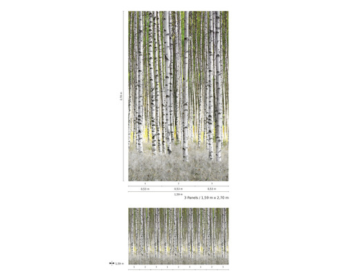 Fotobehang met berkenbosmotief en maataanduidingen