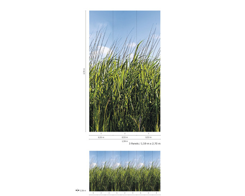 Afbeelding van een behang met gras motief en de afmetingen 1,59 meter bij 2,70 meter.