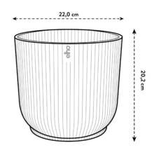 Afbeelding van een plantenbak met de afmetingen 22,0 cm breed en 20,2 cm hoog