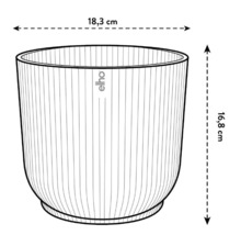 Afbeelding van een plantenbak met afmetingen van 18,3 cm breed en 16,8 cm hoog.