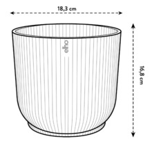Schets van een plantenbak met afmetingen van 18,3 cm breed en 16,8 cm hoog