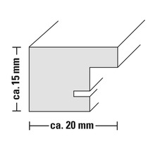 Doorsnede van een fotolijst met afmetingen: ongeveer 15 millimeter hoog en ongeveer 20 millimeter breed.