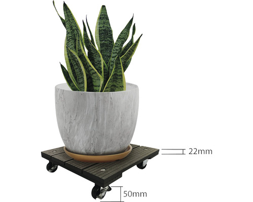 Plantenroller met plant in pot en maatvoering