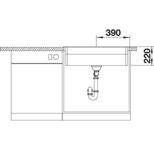 Technische tekening van een spoelbak met de afmetingen 390 bij 220 millimeter.