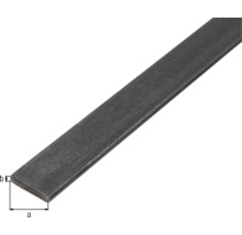 Platstaal