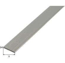 Rechte strip met afmetingen