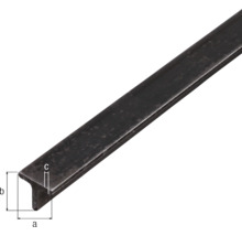 KAISERTHAL T-profiel 25x25x3,5 mm staal 300 cm