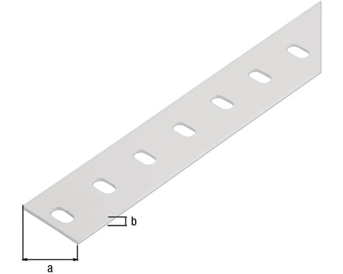 Geperforeerde metalen band met gaten