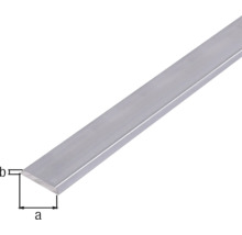 Aluminium platstaf met maatvoering