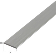 KAISERTHAL Platte stang 25x2 mm aluminium 100 cm
