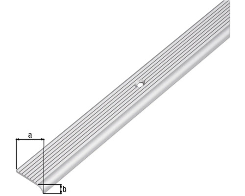 Trapkantprofiel met schroefgaten
