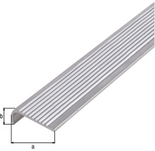 Trapprofiel van aluminium met ribbels