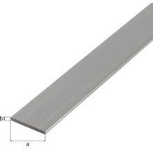 KAISERTHAL Platte stang 30x2 mm aluminium 100 cm