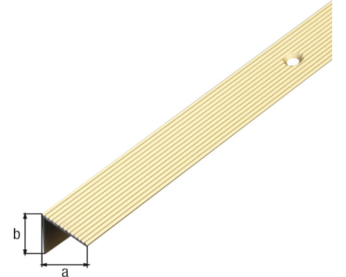 Trapprofiel van metaal met geribbeld oppervlak en bevestigingsgat