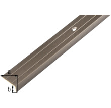 KAISERTHAL Trapprofiel 24,5x10x1,5 mm aluminium brons 200 cm