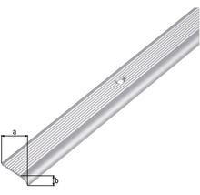 Aluminium trapprofiel met schroefgaten
