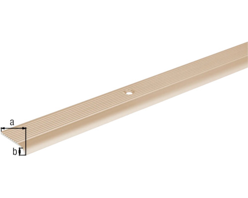 Trapprofiel van metaal met montagegat en afmetingen a en b