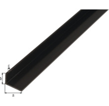 KAISERTHAL Hoekprofiel 40x10x2 mm kunststof zwart 200 cm-thumb-1