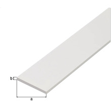 KAISERTHAL Platte stang 30x3 mm kunststof wit 100 cm