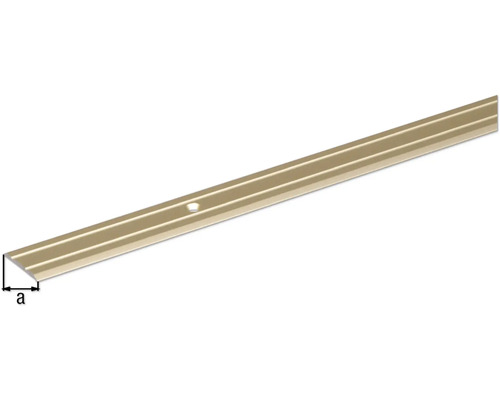 Overgangsprofiel met bevestigingsgaten