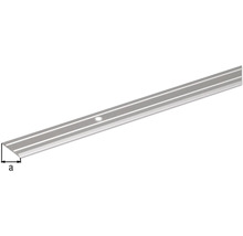 Aluminium traprandprofiel met boring