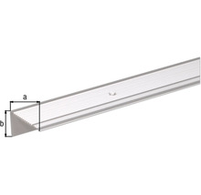 KAISERTHAL Beschermprofiel 45x23x2,7 mm aluminium zilver 100 cm