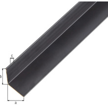 GAH.ALBERTS Hoekprofiel 20x20x1 mm aluminium mat zwart 100 cm-thumb-1