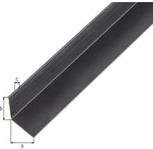 GAH.ALBERTS Hoekprofiel 20x20x1 mm aluminium mat zwart 200 cm-thumb-1