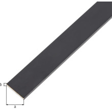 GAH.ALBERTS Platte stang 20x2 mm alu mat zwart 100 cm-thumb-1