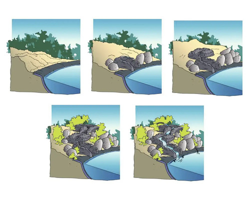 Illustratie van een stapsgewijze vijveraanleg met stenen en beplanting