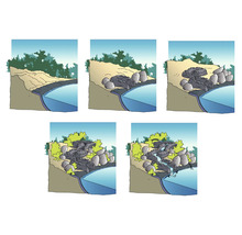 Illustratie van een vijverontwerp met oeverversteviging en waterval